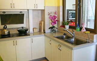 老板廚具評(píng)測(cè) 專(zhuān)業(yè)廚房與品質(zhì)衛(wèi)浴的明智之選