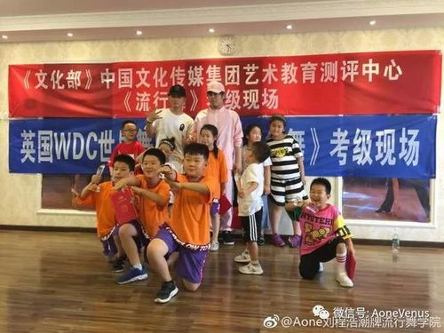 流行舞考級認證 文化傳媒領域的國際化標準與藝術價值