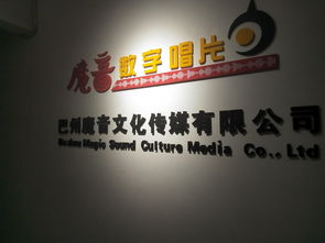 從巴州魔音到“藝援幫” 文化傳媒的品牌責任與公共形象漫談